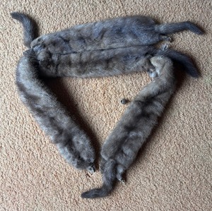 lot 237 image: Vintage Fur Stole