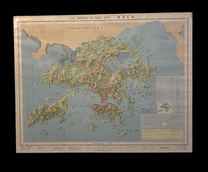 lot 259 image: The Territory of Hong Kong Vintage Framed Map
