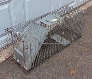 lot 379 image: Havahart Live Trap