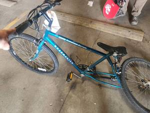 lot 351 image: Roadmaster Chromium Edition 22 Mens Trail Bike 19 Green Frame
