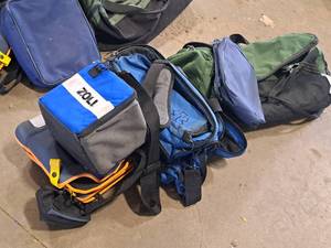 lot 925 image: Lot of (5) Assorted Carry Bags  Packs