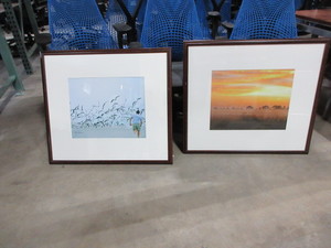 lot 517 image: NATURESCAPE PHOTOGRAPHY