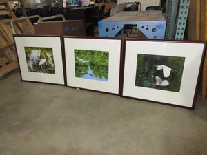 lot 518 image: LISA ERICKSEN BIRD PHOTOGRAPHS