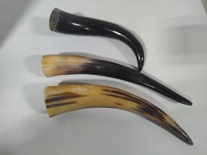 lot 121 image: Viking Drinking Horns