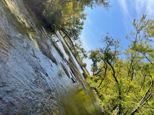 11 acres of Islands on Mississippi River