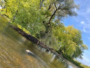 11 acres of Islands on Mississippi River