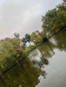 11 acres of Islands on Mississippi River