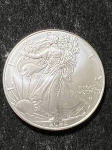 2025 AMERICAN SILVER EAGLE 1 TROY OZ .999 FINE SILVER
