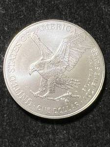 2025 AMERICAN SILVER EAGLE 1 TROY OZ .999 FINE SILVER