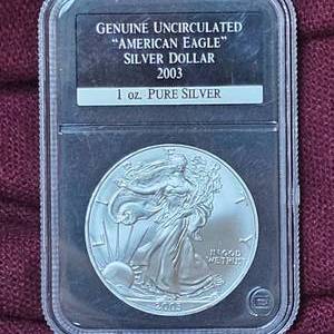 lot 30 image: 2003 Silver Eagle BU
