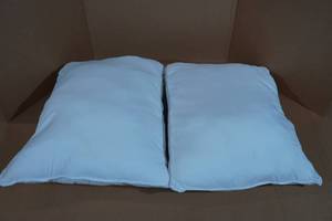 lot 98 image: 2 Pillow Inserts - 20x26