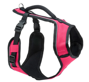 lot 238 image: LOT OF 2 Medium Size PetSafe EasySport Dog Harness, Adjustable, Padded with Handle