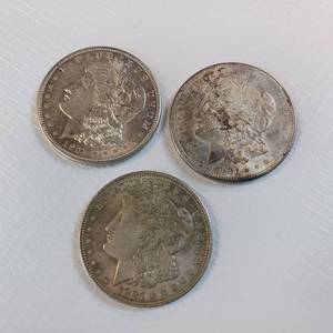 lot 50 image: MORGAN SILVER DOLLARS  COLLECTION OF 3 COINS