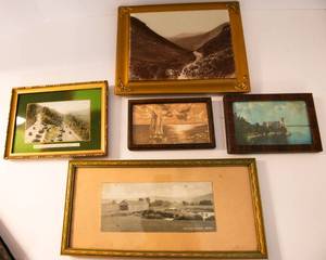 lot 155 image: Set of 5 VintageAntique Nature Photographs & Prints