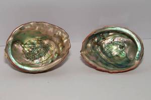 lot 230 image: Set of 2 Vintage Large Abalone Shells