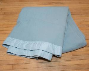 lot 317 image: Chatham Twin Blanket  Blue