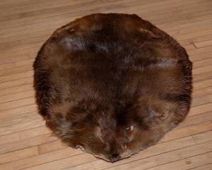 lot 342 image: Beaver Pelt  Natural Fur