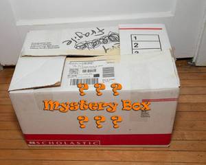 lot 312 image: Mystery Box #1