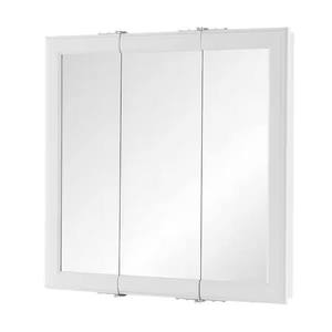 lot 88-H2025 image: Home Decorators Collection 24 in. W x 24 in. H Rectangular Medicine Cabinet with Mirror