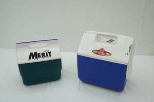 lot 7 image: Small Cooler Lot (2ct)