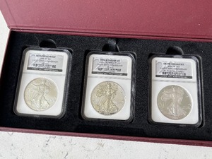 lot 1 image: 2006 Silver Eagle Set Reverse Proof, Proof 20th Anniversary Set NGC Graded