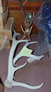 Very Cool Horn Clock and 2 Horns