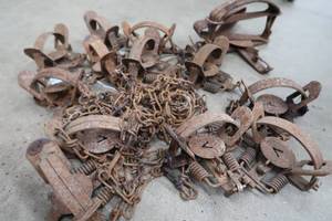 lot 15 image: VICTOR TRAPS