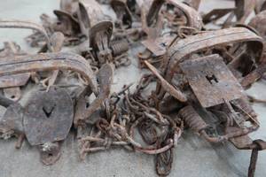 lot 19 image: 13 TRAPS