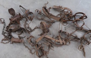 lot 28 image: LOT OF MISC TRAPS