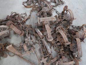 lot 30 image: ASSORTED TRAPS. LOTS OF VICTOR