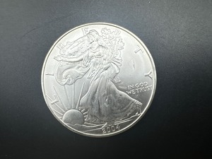 lot 49 image: 2004 Silver American Eagle