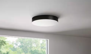 lot 65 image: Lakeshore Smart 13 in. LED Color Changing Flush Mount Matte Black Hampton Bay