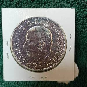 lot 46 image: 1999 Britania 1 oz UNC-2 Pounds