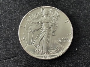 1987 Silver Eagle