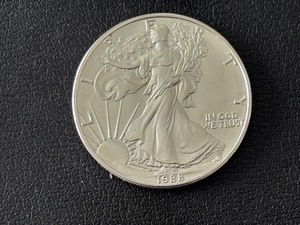 lot 57 image: 1988 Silver Eagle