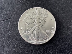 lot 86 image: 1987 Silver Eagle