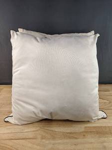 lot 145 image: 2 Brand New Members Mark Square Pillows 20 x 20 N