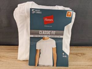 lot 282 image: Brand New Hanes Mens Tagless T-Shirts Five Total White Size Medium N