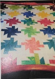 lot 147 image: Buzz Saw Hand Sewn Quilt