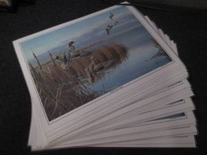 lot 255 image: 25 Wildfowl prints, laminated and r...
