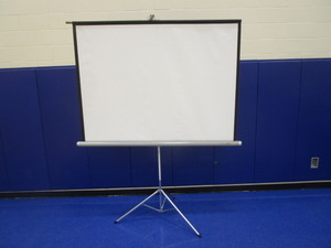 lot 50 image: Retractable Projector Screen