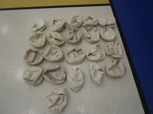 lot 55 image: Volleyballs