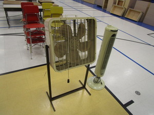 lot 110 image: (2) Fans
