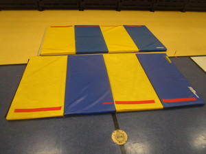 lot 216 image: (2) Foldable Tumbling Mats 4x8x2