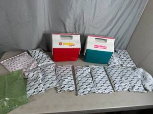 lot 86 image: 2 Igloo Mini Mate Coolers with 13 Freezer Paks