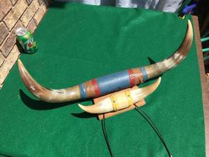 lot 117 image: Decorative Horn Display 24 - 12 12