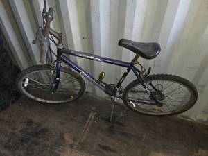 lot 68 image: Roadmaster Mountain Bike
