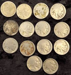lot 63 image: 13 NO DATE Buffalo Nickels & 1 NO DATE Liberty Nickel