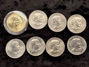 lot 81 image: (7) Susan B Anthony & (1) Washington Dollar