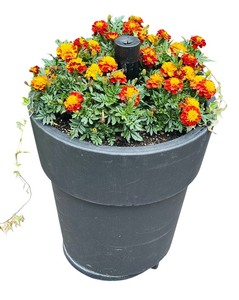 lot 84 image: Large Planter Flowers with the Ability to Add an Umbrella